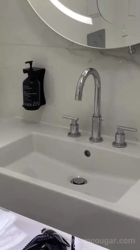 Premium Room bathroom picture #4