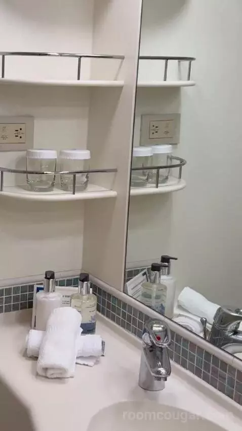 Balcony Cabin bathroom picture #2