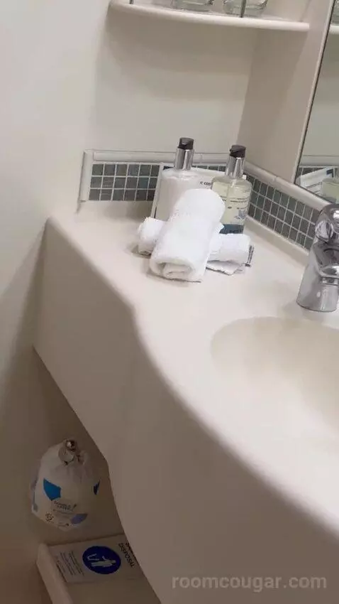 Balcony Cabin bathroom picture #5