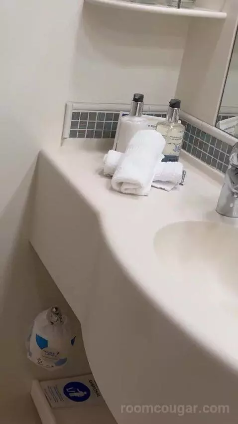 Balcony Cabin bathroom picture #6