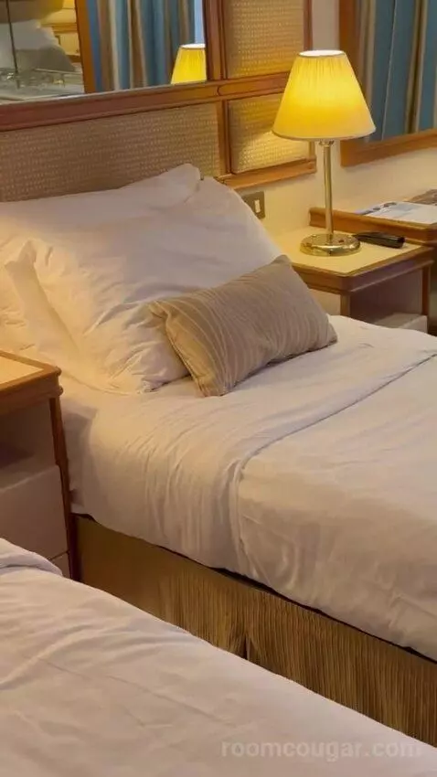 Balcony Cabin bed picture #3