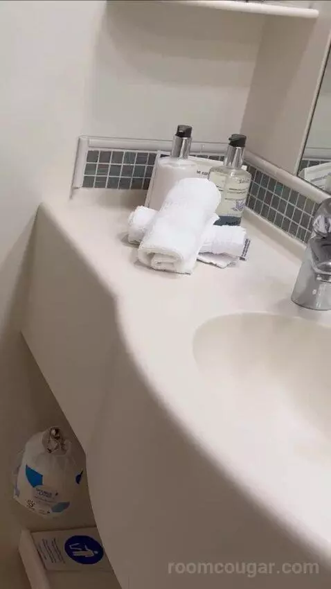 Balcony Cabin bathroom picture #8