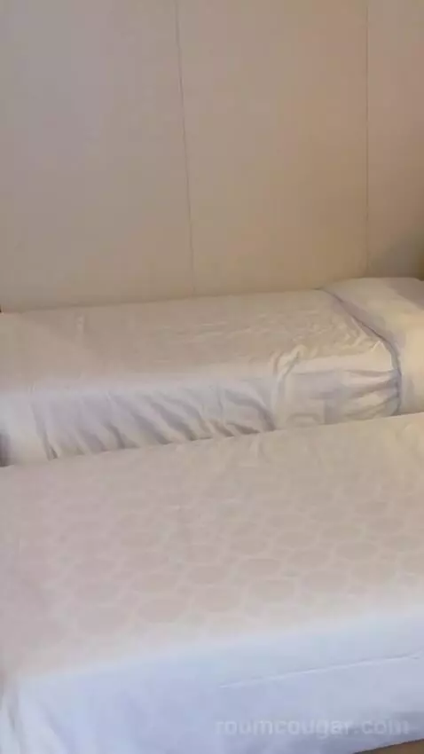 Balcony Cabin bed picture #7