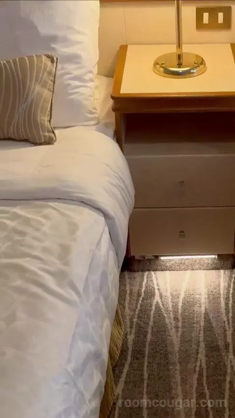 Balcony Cabin bed picture #10