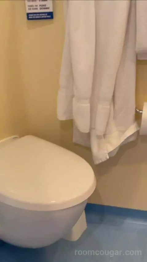 Balcony Cabin bathroom picture #5