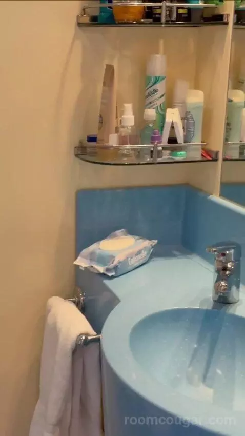 Balcony Cabin bathroom picture #7