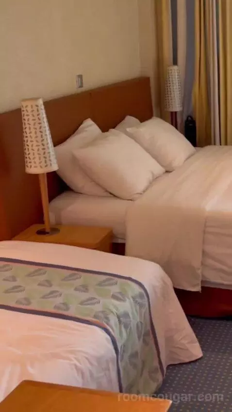 Balcony Cabin bed picture #2