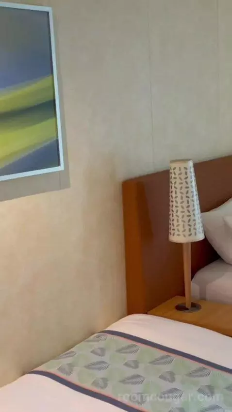 Balcony Cabin bed picture #8
