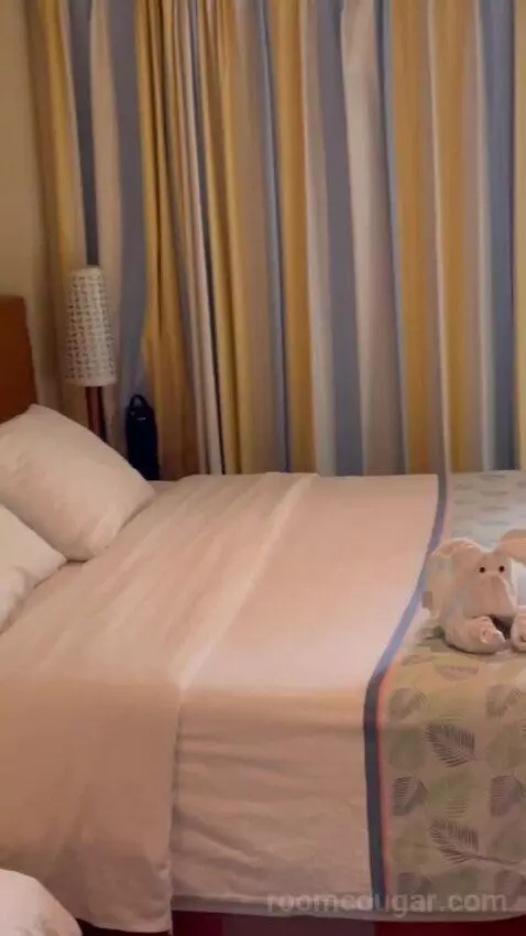 Balcony Cabin bed picture #9