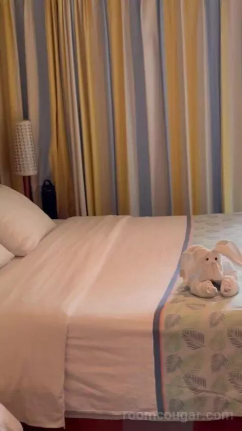 Balcony Cabin bed picture #10