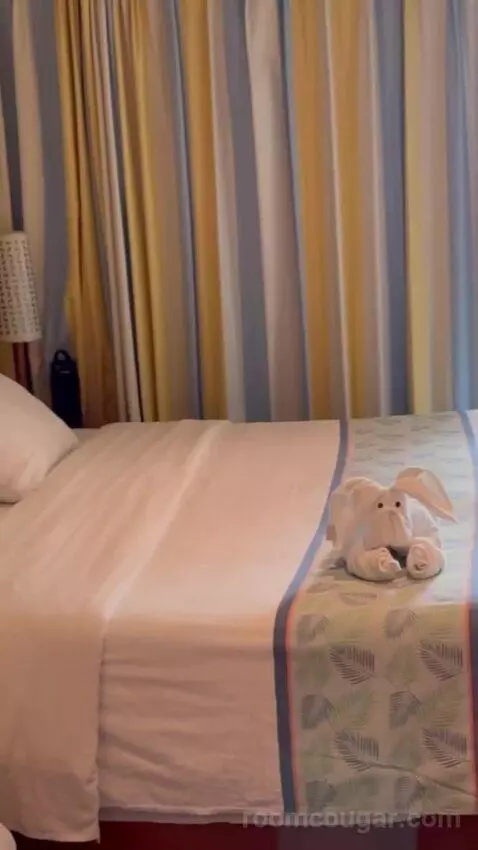 Balcony Cabin bed picture #11
