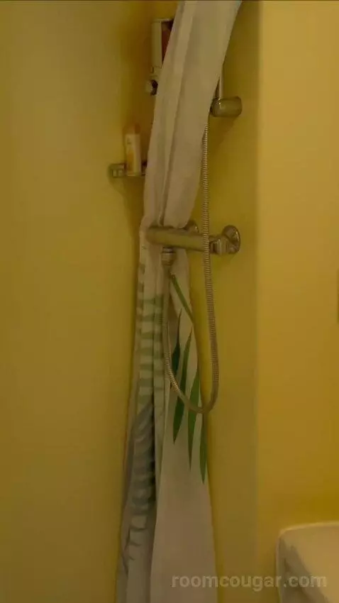 Balcony Cabin bathroom picture #1