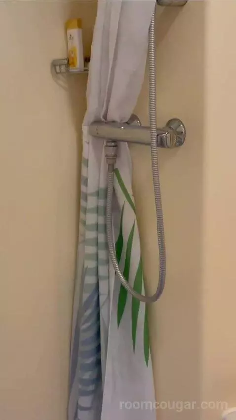 Balcony Cabin bathroom picture #3