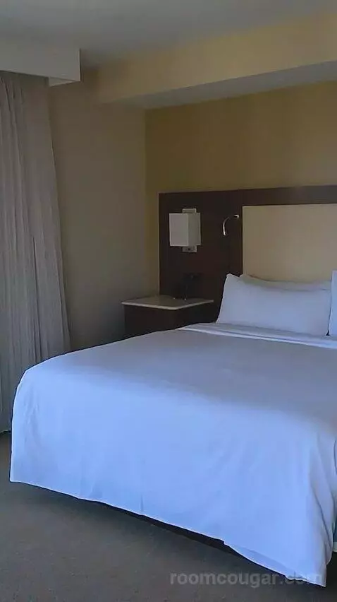 Executive King Suite - Ocean Front (#8802) bed picture #2