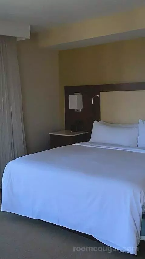 Executive King Suite - Ocean Front (#8802) bed picture #3