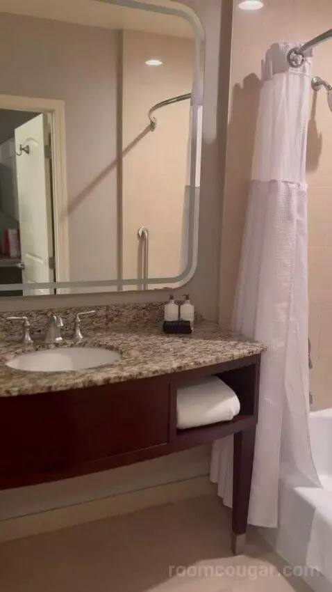 King Room with River View bathroom picture #10