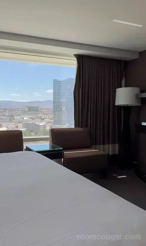 Deluxe King Room (#15047) view picture #11
