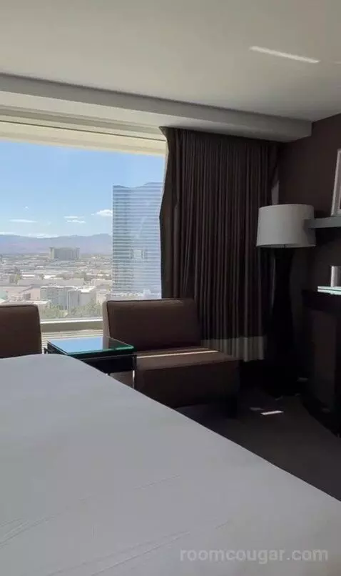 Deluxe King Room (#15047) view picture #12