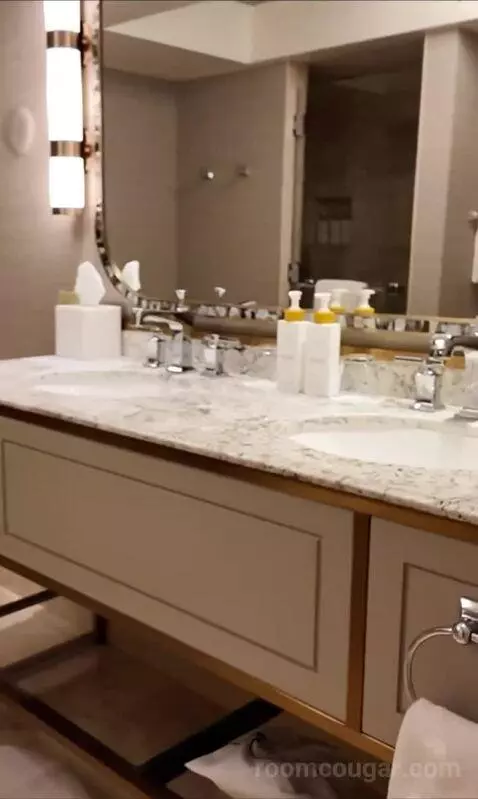 Spa Premier King (#22027) bathroom picture #1