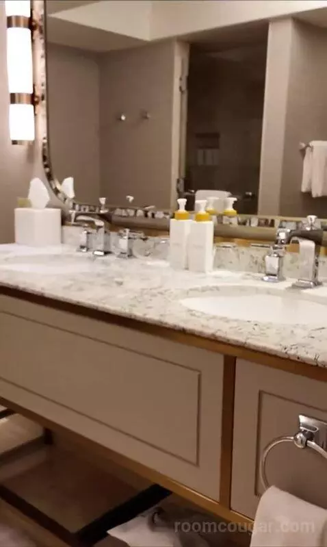 Spa Premier King (#22027) bathroom picture #2