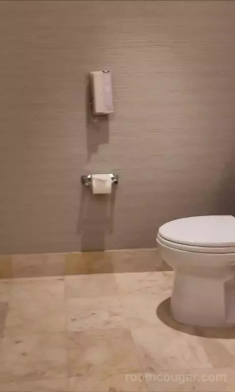 Spa Premier King (#22027) bathroom picture #4