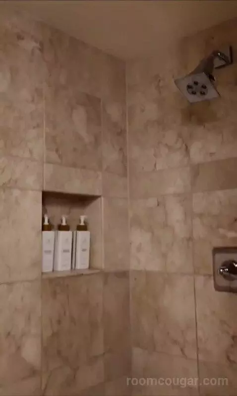 Spa Premier King (#22027) bathroom picture #6