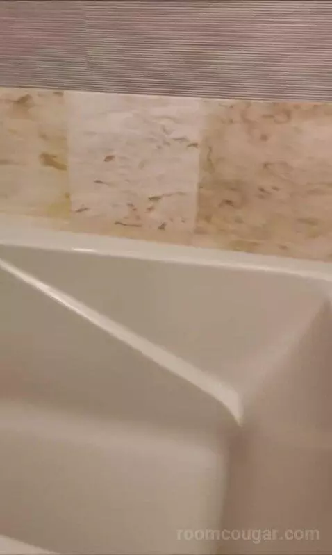 Spa Premier King (#22027) bathroom picture #7