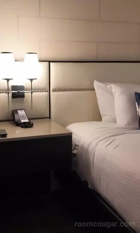 Mountain Junior Executive Suite (#62067) bed picture #8