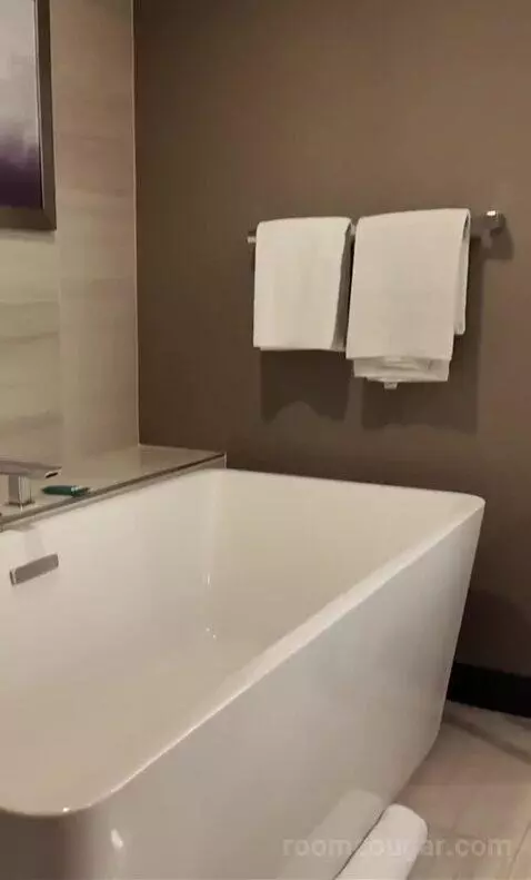 Mountain Junior Executive Suite (#62067) bathroom picture #1