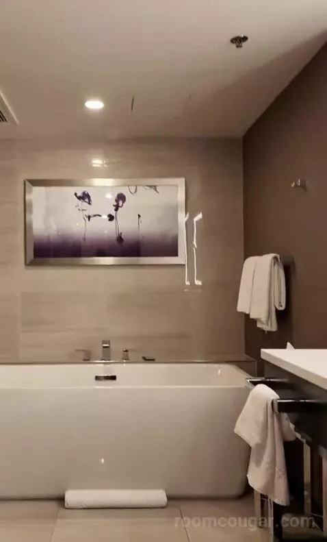 Mountain Junior Executive Suite (#62067) bathroom picture #7