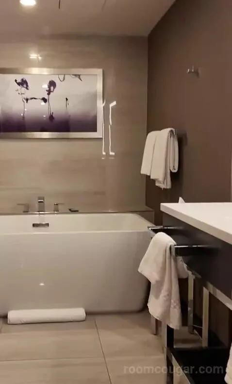 Mountain Junior Executive Suite (#62067) bathroom picture #11