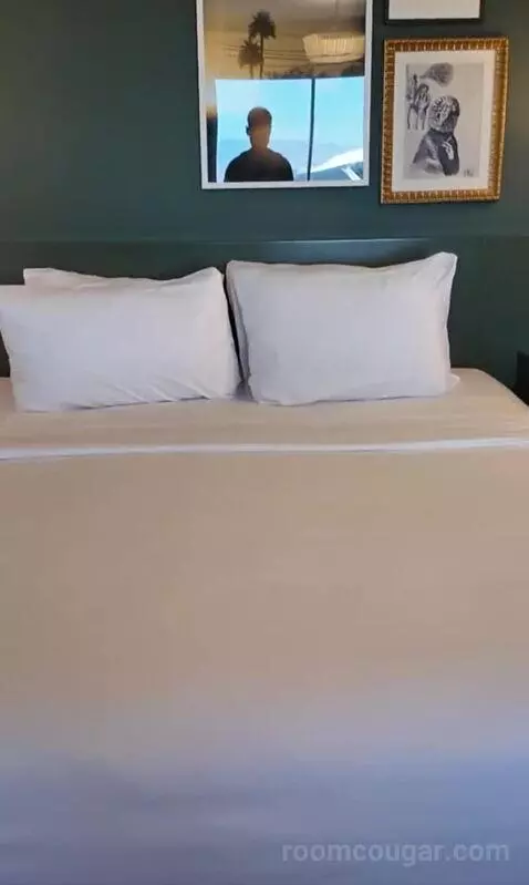 Park Mgm King (#306) bed picture #4