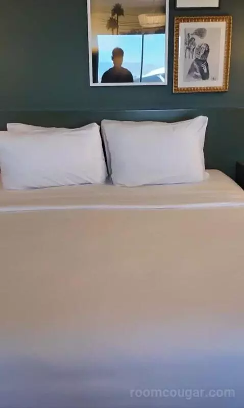 Park Mgm King (#306) bed picture #5