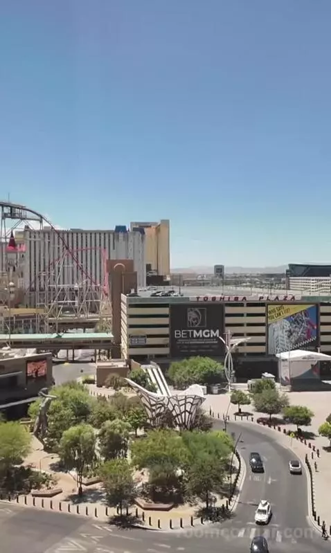 Park Mgm King (#306) view picture #2