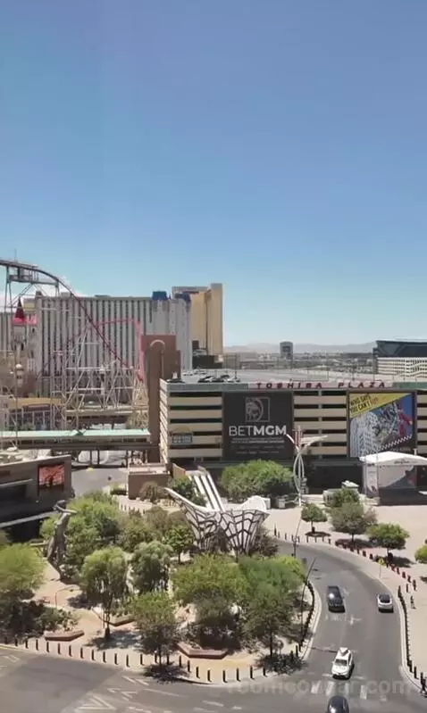 Park Mgm King (#306) view picture #3
