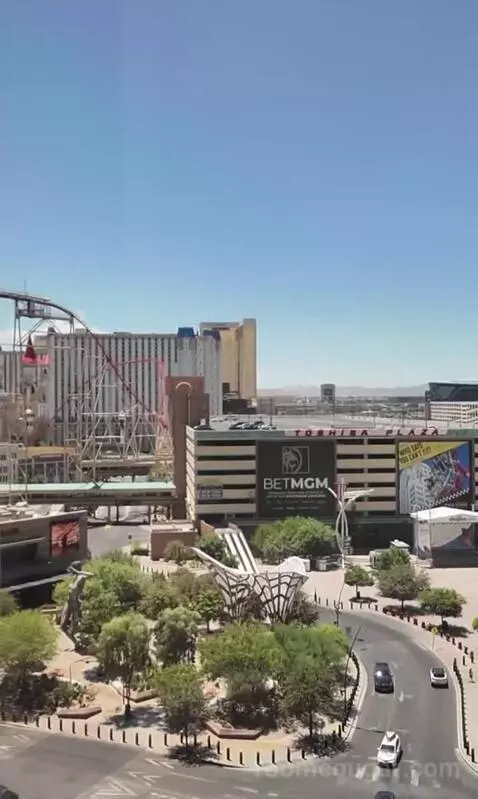 Park Mgm King (#306) view picture #5