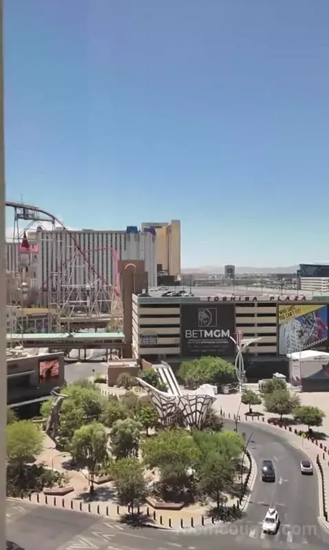 Park Mgm King (#306) view picture #7