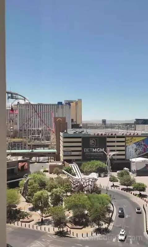 Park Mgm King (#306) view picture #8