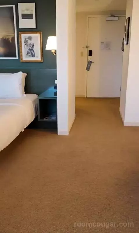 Park Mgm King (#306) bed picture #10