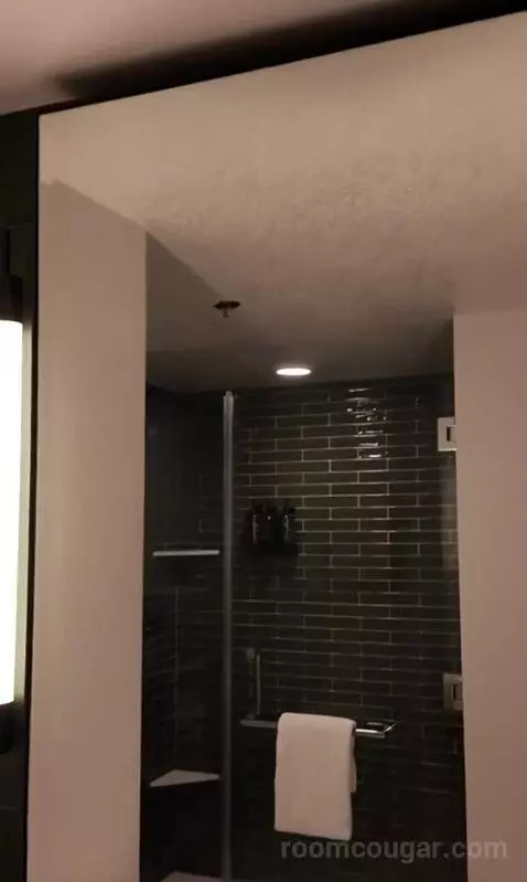 Park Mgm King (#306) bathroom picture #2