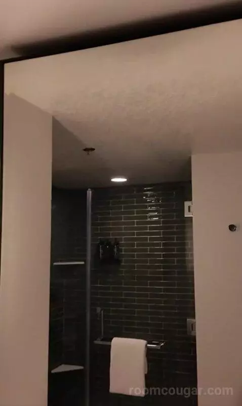 Park Mgm King (#306) bathroom picture #3