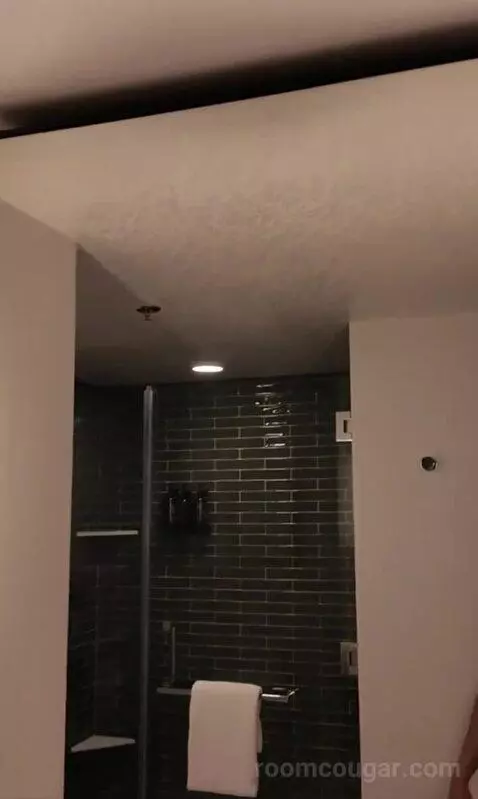 Park Mgm King (#306) bathroom picture #4