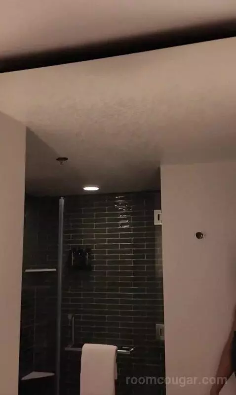 Park Mgm King (#306) bathroom picture #5