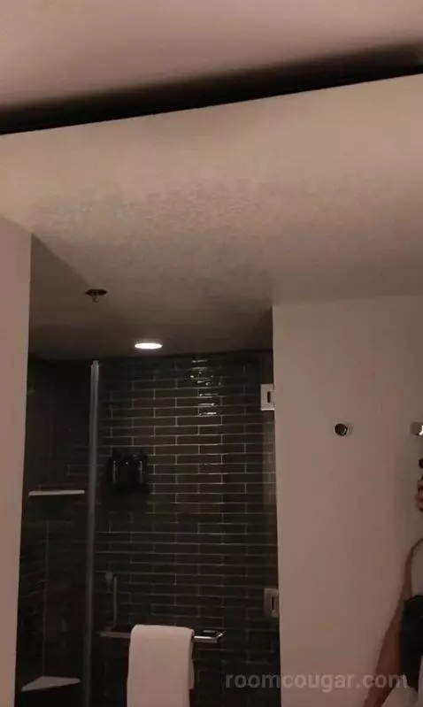 Park Mgm King (#306) bathroom picture #6