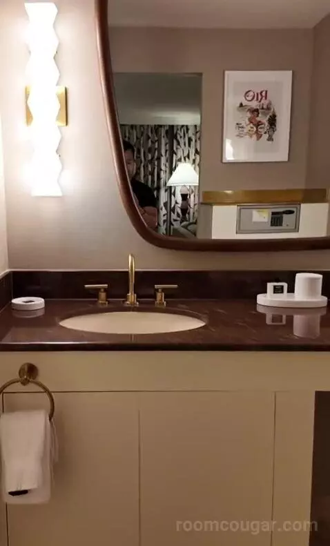 Deluxe King Room (#323) bathroom picture #4