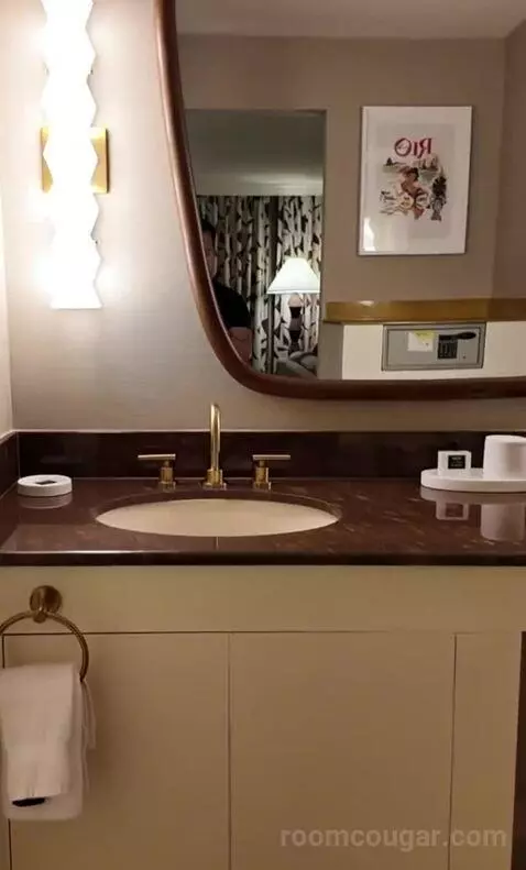 Deluxe King Room (#323) bathroom picture #5