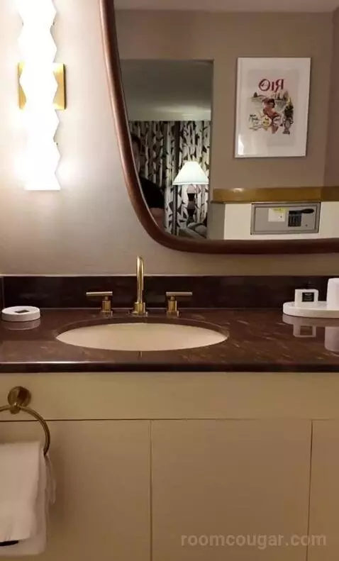 Deluxe King Room (#323) bathroom picture #7