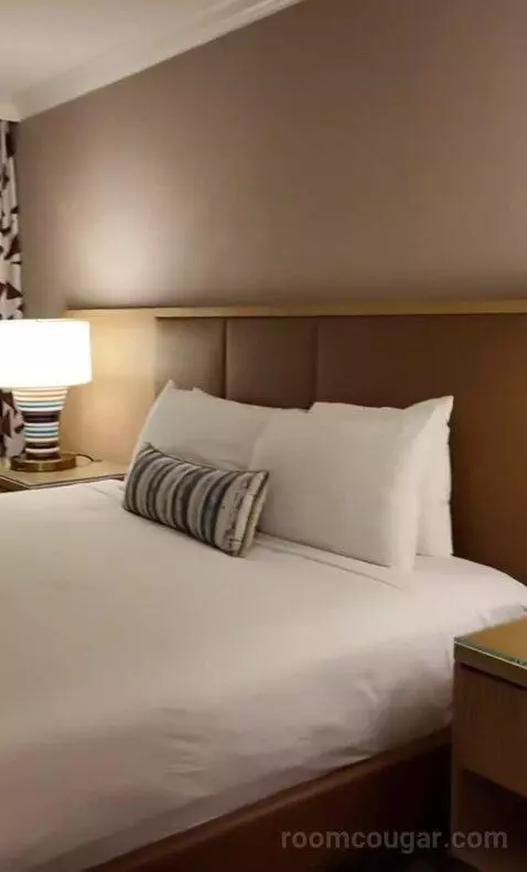 Deluxe King Room (#323) bed picture #7