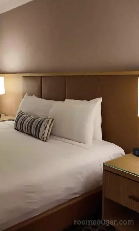 Deluxe King Room (#323) bed picture #10