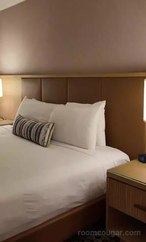 Deluxe King Room (#323) bed picture #11